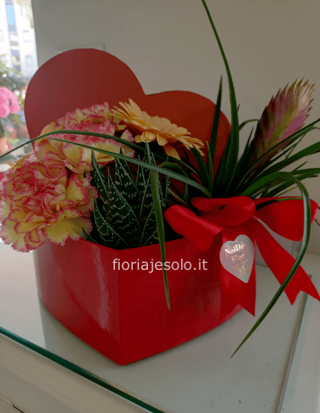 Elegante scatola a cuore rosso cm 20 h 24 con piante e fiori freschi