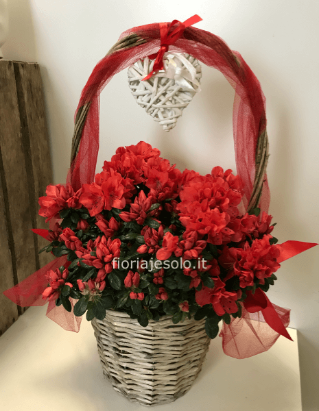 Azalea con cesto e cuore in rattan