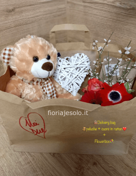 Deliverybag con peluche + cuore in rattan e flowerbox