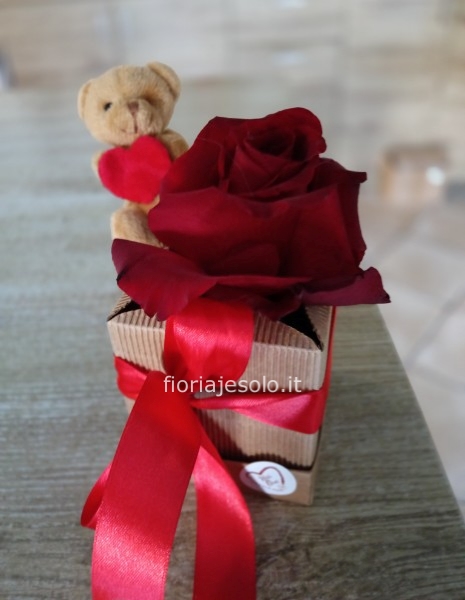 Rosa rossa con orsetto