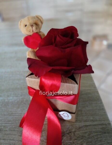 Rosa rossa con orsetto